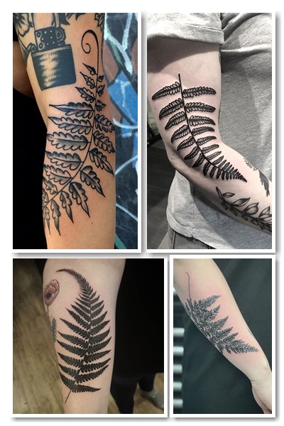 де зобразити тату папороть 