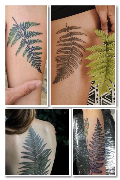 як зобразити тату папороть