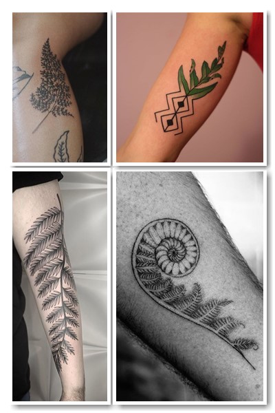  тату лист папоротника символизм