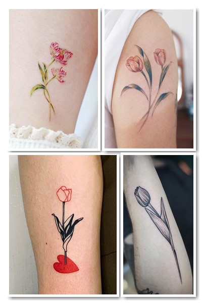 історія символу татуювання тюльпан