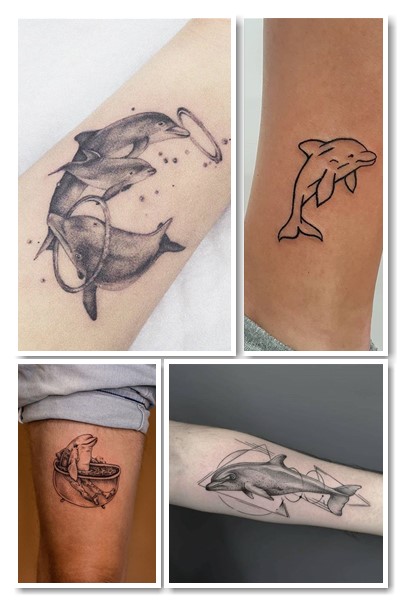 пара дельфінів тату