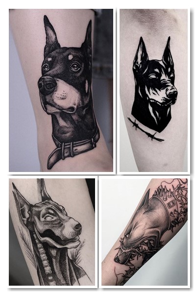 історія тату доберман