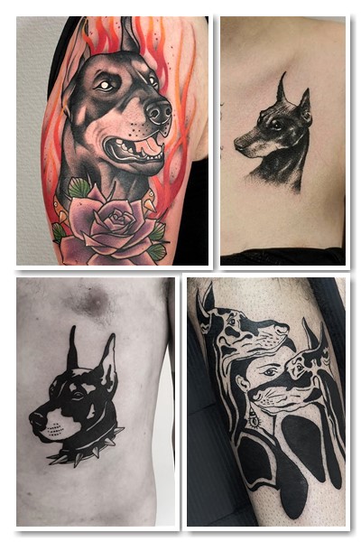 Тату доберман – естетичний малюнок