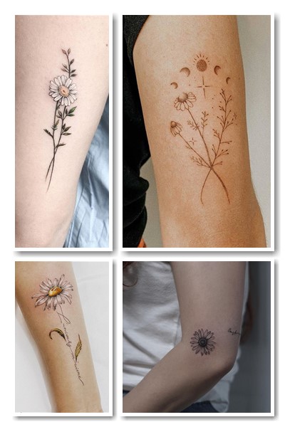 Значення татуювання ромашка