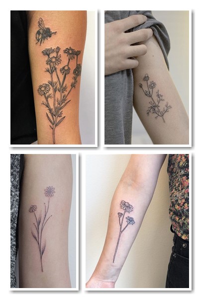 ескізи тату ромашка