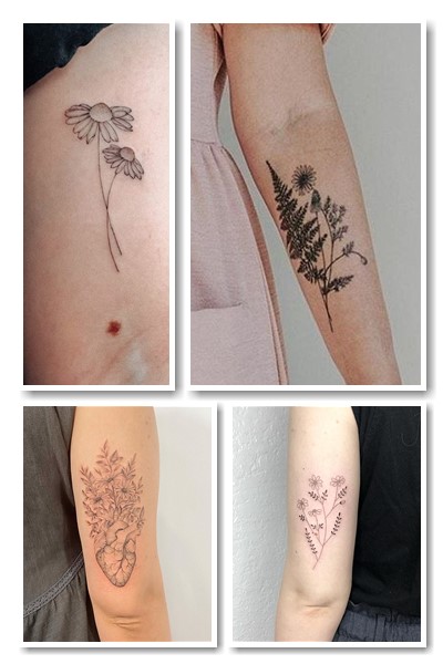 тату ромашка символізм