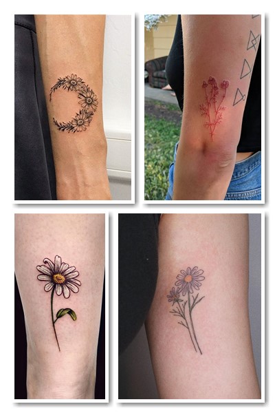 Що означає тату ромашка