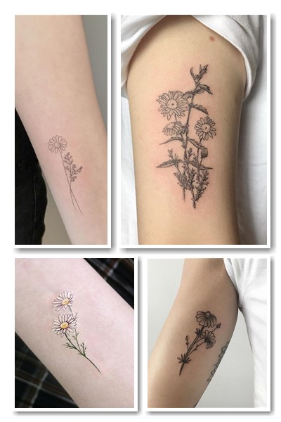 Також тату ромашка може символізувати пам'ять