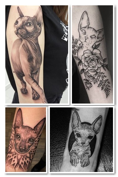 особливості тату сфінкс