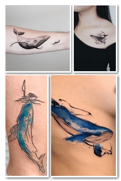 Стилі та кольори тату кит