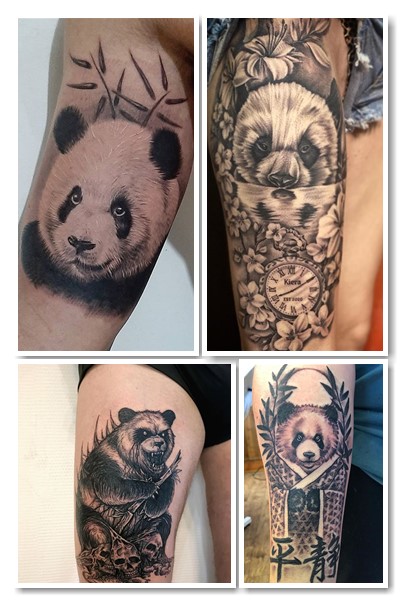 характеристики Тату панда