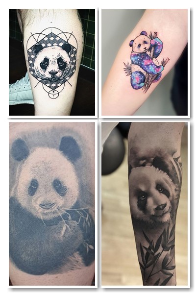Стилі та місця нанесення тату панда