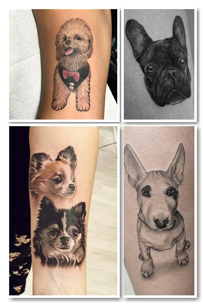 Де набивають татуювання собака