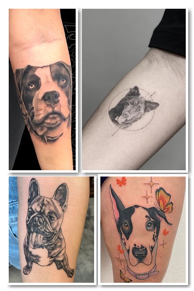 Загальне значення тату собака