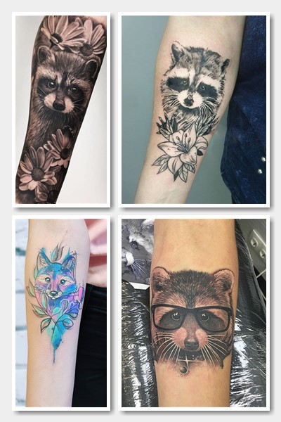 значення тату єнот