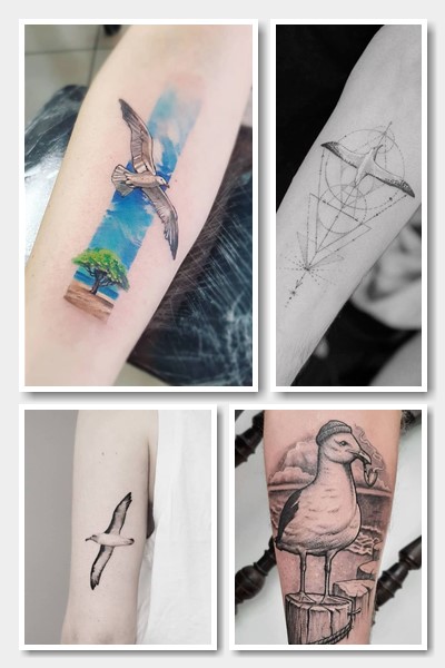 Значення татуювання чайка, альбатрос