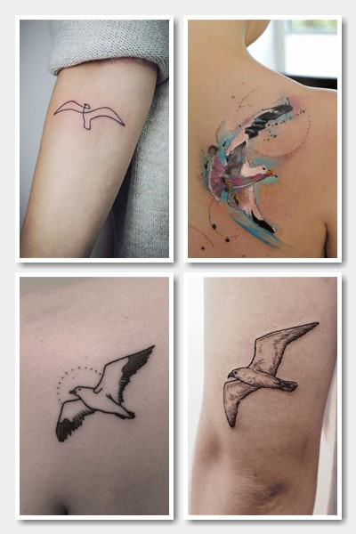 Що означає тату чайка та альбатрос