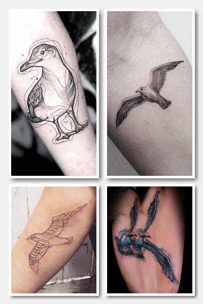 Що означає чайка як татуювання