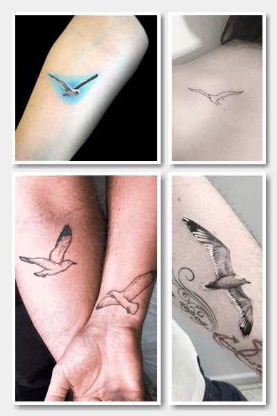 кому підійде тату чайка