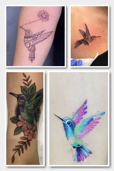 колібрі тату символізм