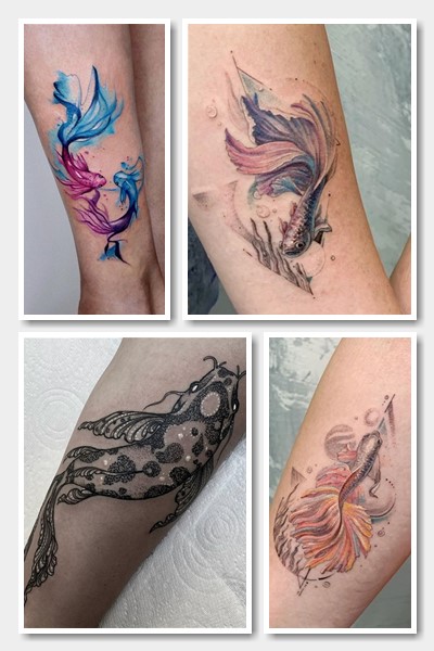 хто обирає тату риба