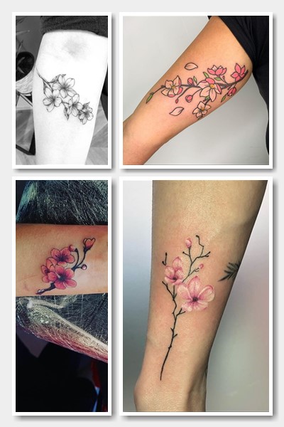 варіанти зображення тату сакура