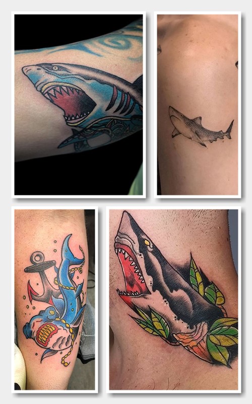 Чи підійде Вам тату акула