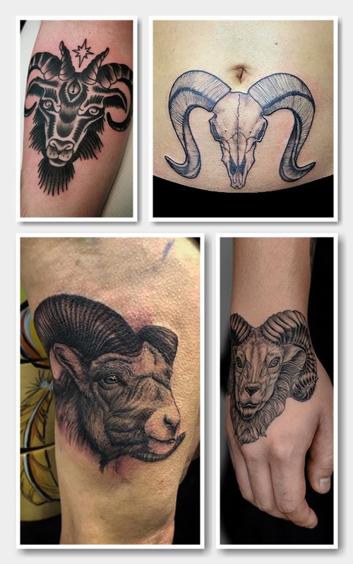 зображення тату барана