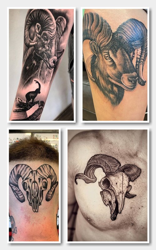 Тату баран буває