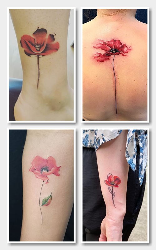 колір тату маку