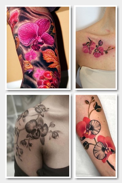 все про тату орхідея