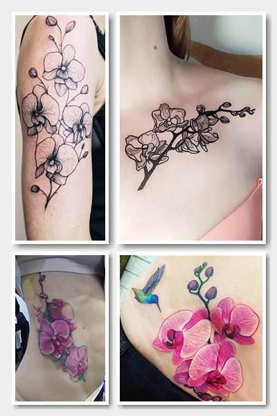 Значення символу тату орхідея