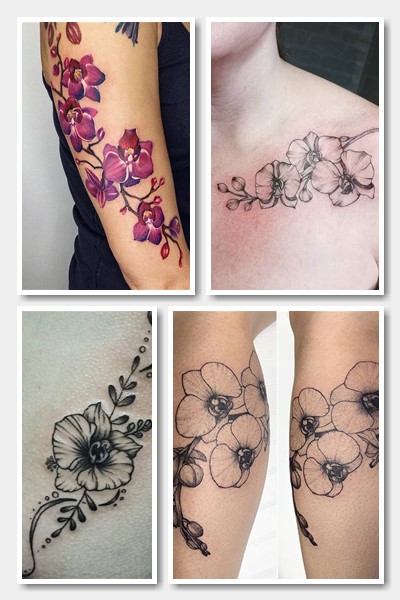 тату орхідея значення