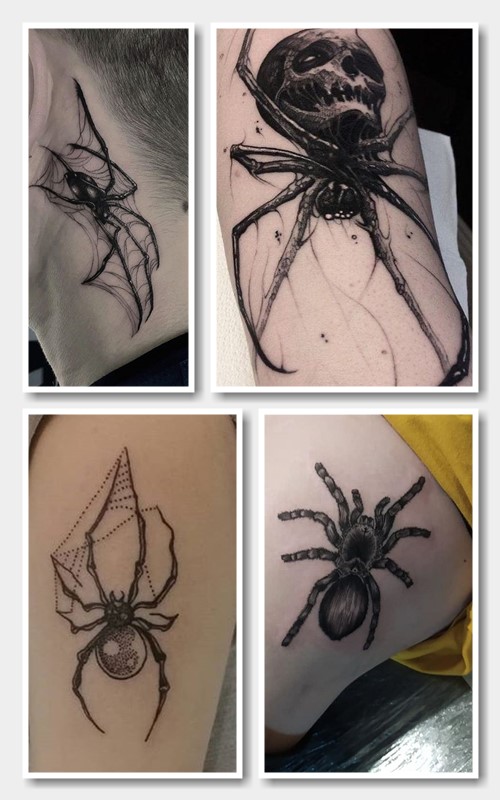 Значення павук символ