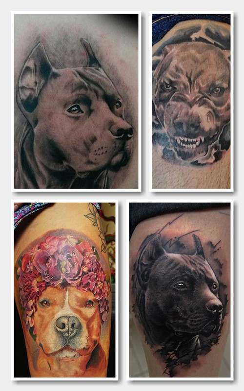 Значення татуювання пітбуль