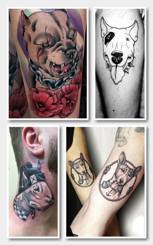 Що означає пітбультер'єр у тату