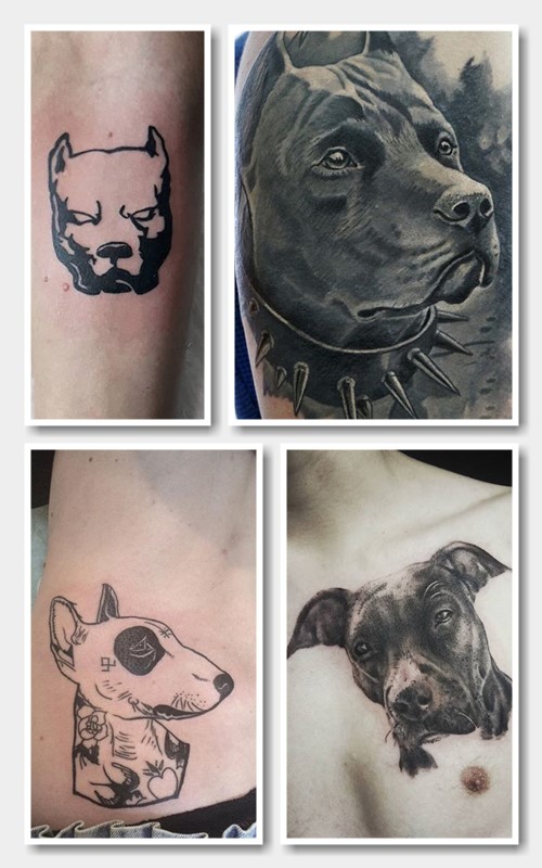пітбультер'єр тату