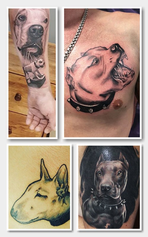Кому підійде татуювання з пітбулем