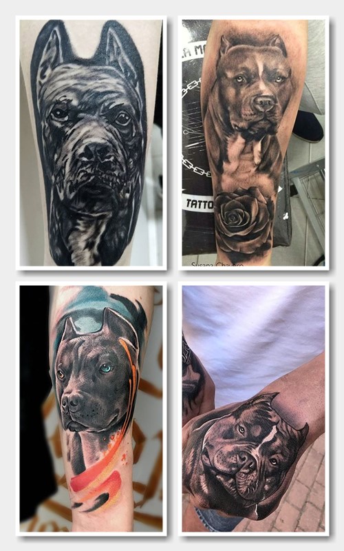 тату пес пітбуль