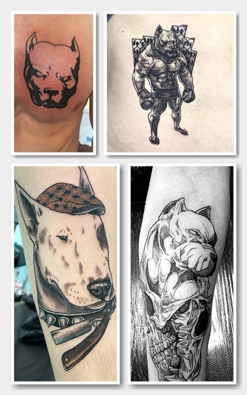 тату пітбуль значення