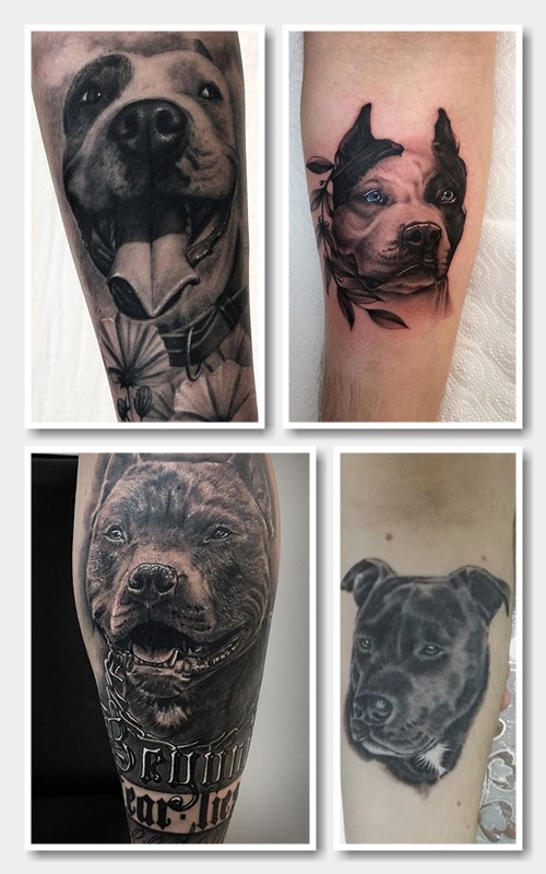 пітбуль татуювання значення