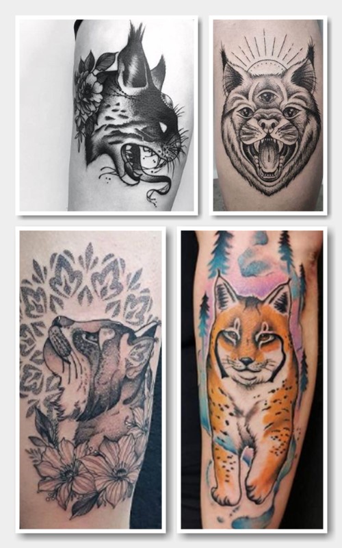 місця тату рись