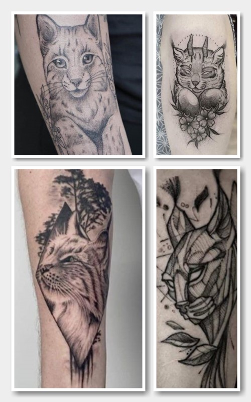 Значення будь-яких тату рись