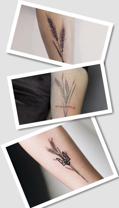 Цікаве значення тату колос, колосок