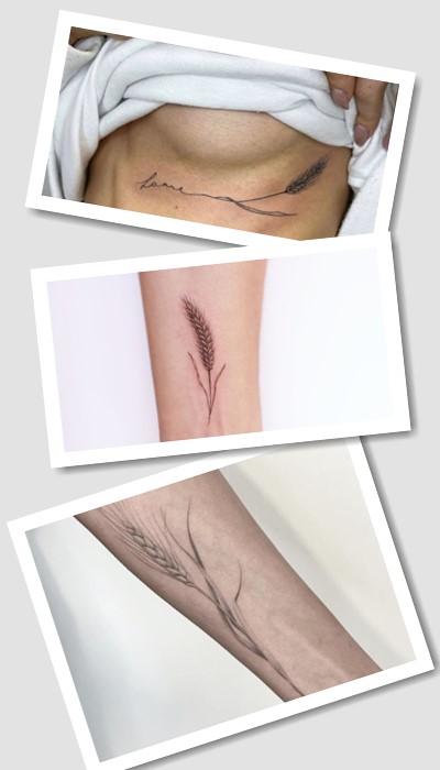 Ідеї малюнків тату колосок