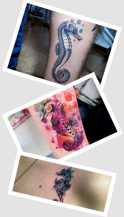 Місце розташування Тату морський коник