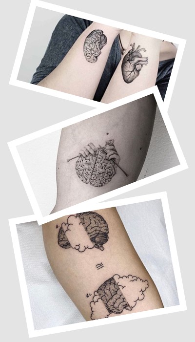 Місце розміщення Тату мозок