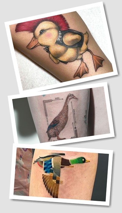 Тату качка вважається універсальним