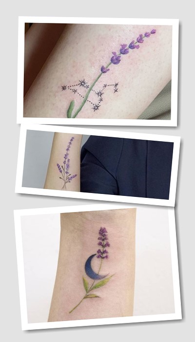 Тату лаванда у Києві