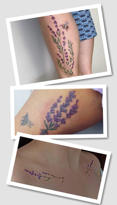 Найкрасивіші тату лаванда та їх значення